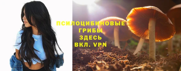 2c-b Балабаново